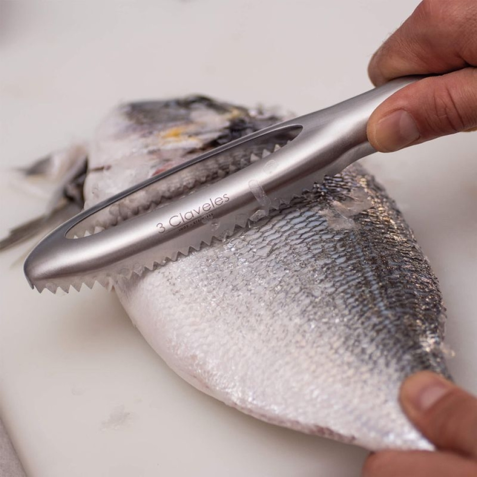 Écailleur à poisson, bleu - 3 Claveles
