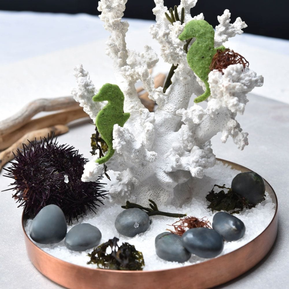 Moule en silicone, Pierre, Gourmand – Pavoni