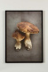 Articles de cuisine, Together - Arty Swede