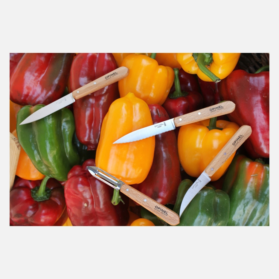 Set de 4 couteaux, Nature, Essentials - Opinel