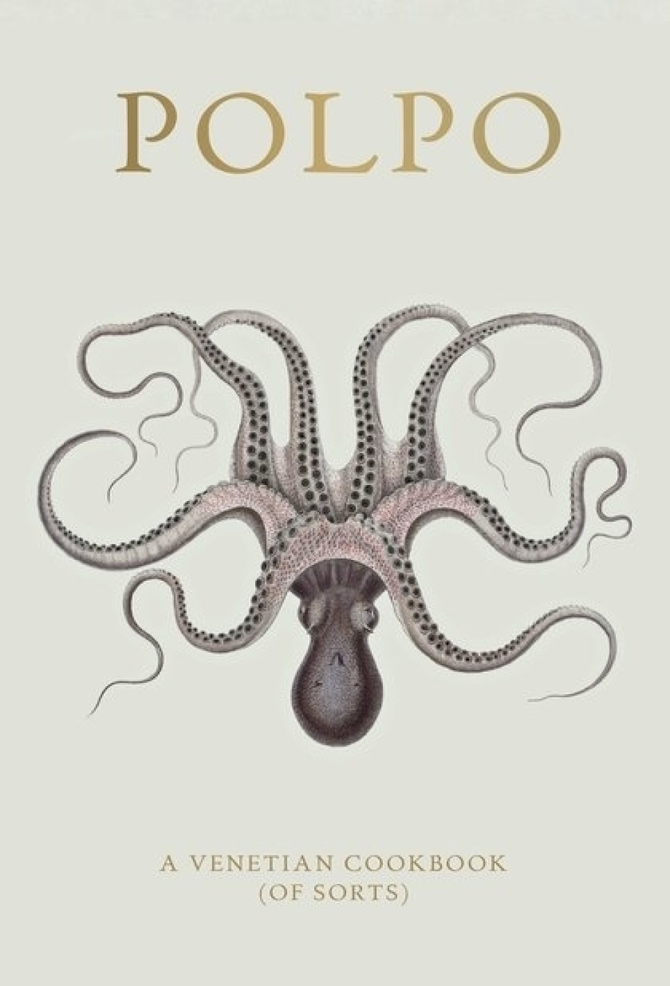 Polpo, A Venetian Cookbook (Of Sorts) - Russel Norman dans le groupe Cuisine / Livres de cuisine / Cuisines & Cultures / Italie l\'adresse The Kitchen Lab (1987-26127)