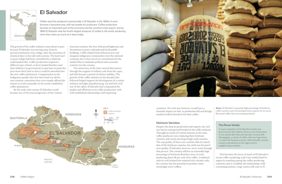 The World Atlas of Coffee, 3rd Edition - James Hoffmann