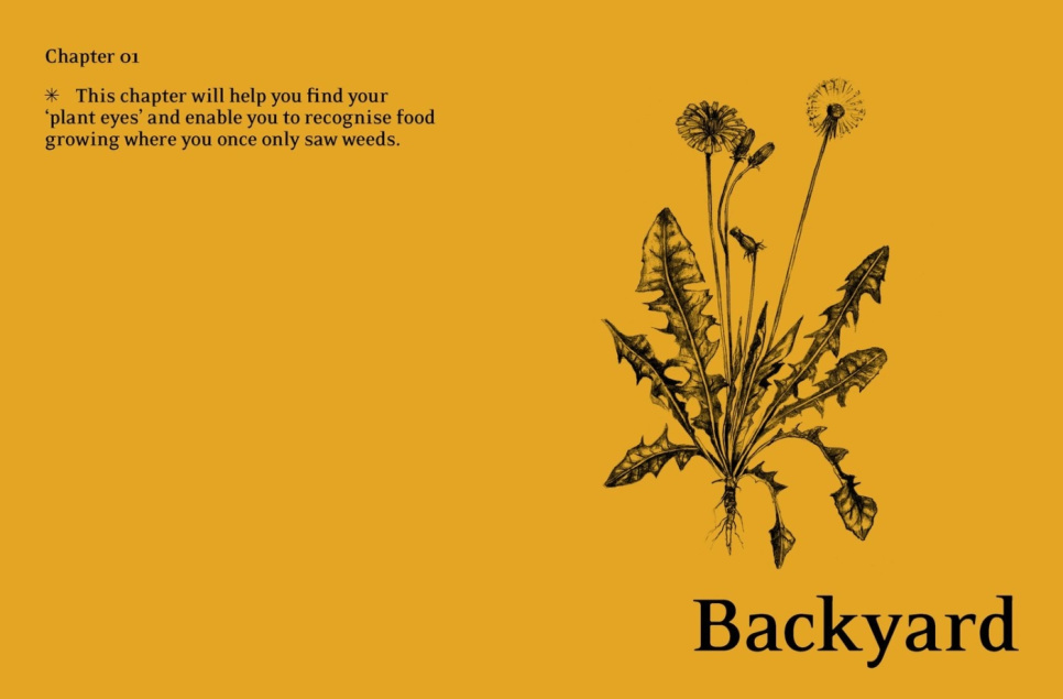 Eat Weeds - Diego Bonetto