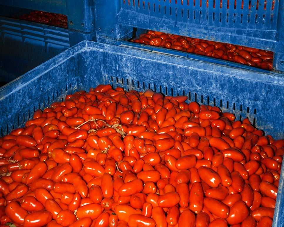 Tomates San Marzano DOP, 2560g - Casa Marrazzo