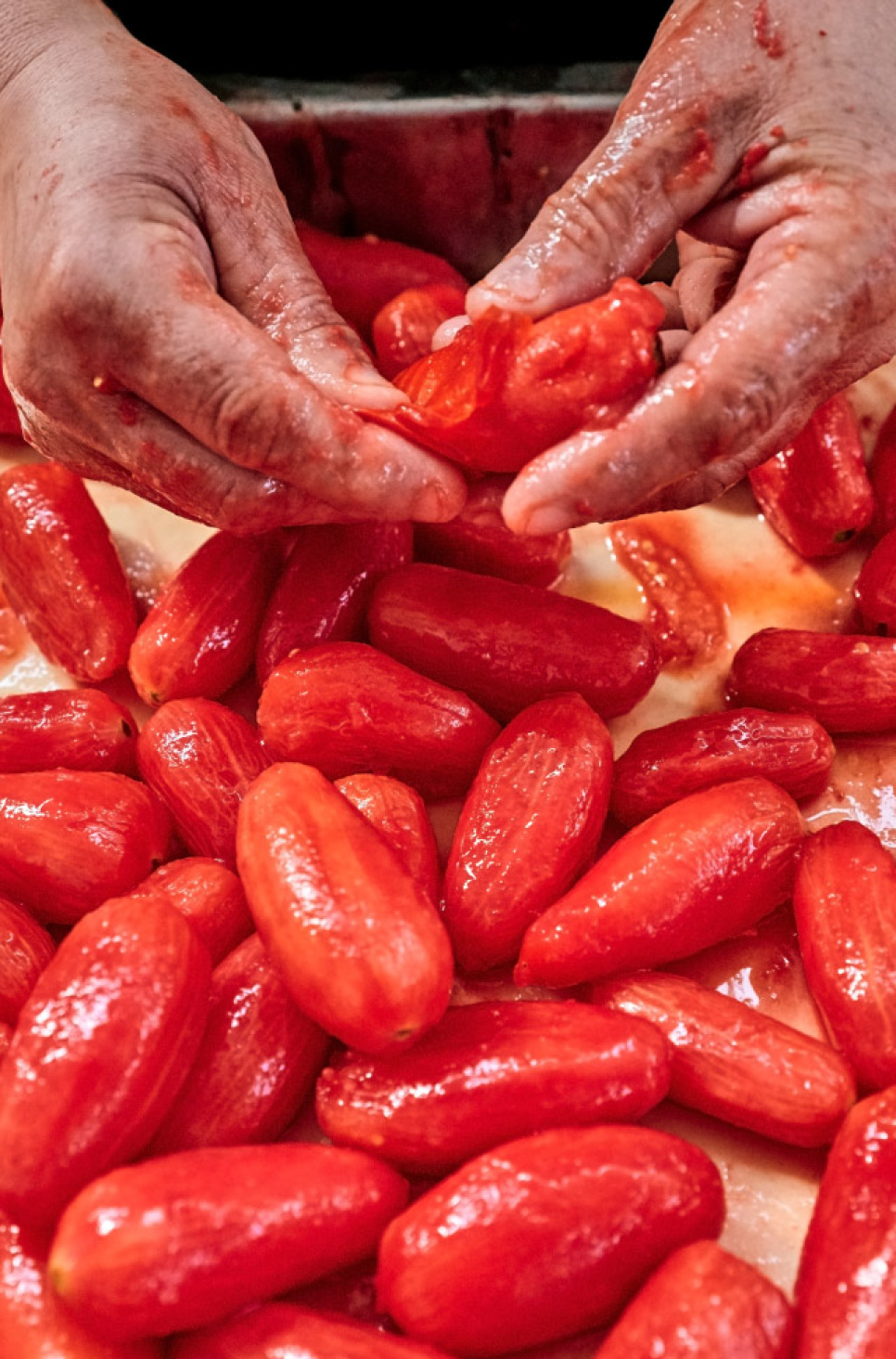 Tomates San Marzano DOP, 2560g - Casa Marrazzo