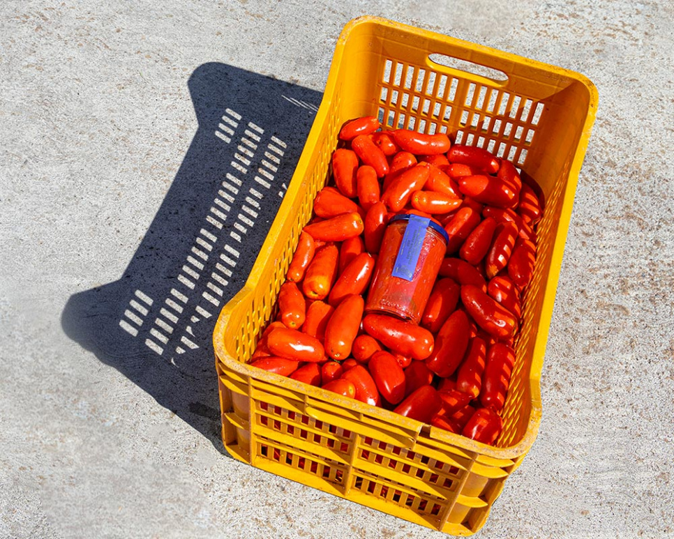 Tomates San Marzano DOP, 2560g - Casa Marrazzo