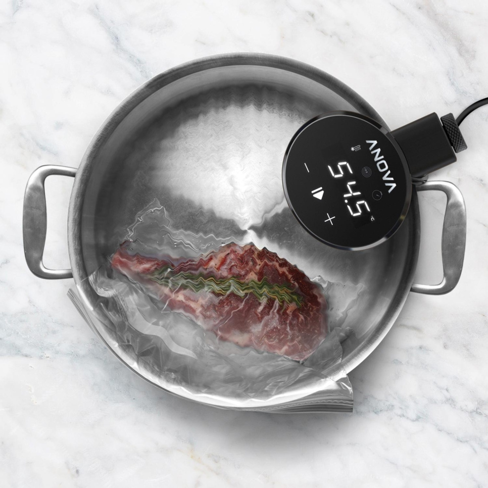 Anova Nano 2.0 - AN400-EU00 - Circulateur sous vide