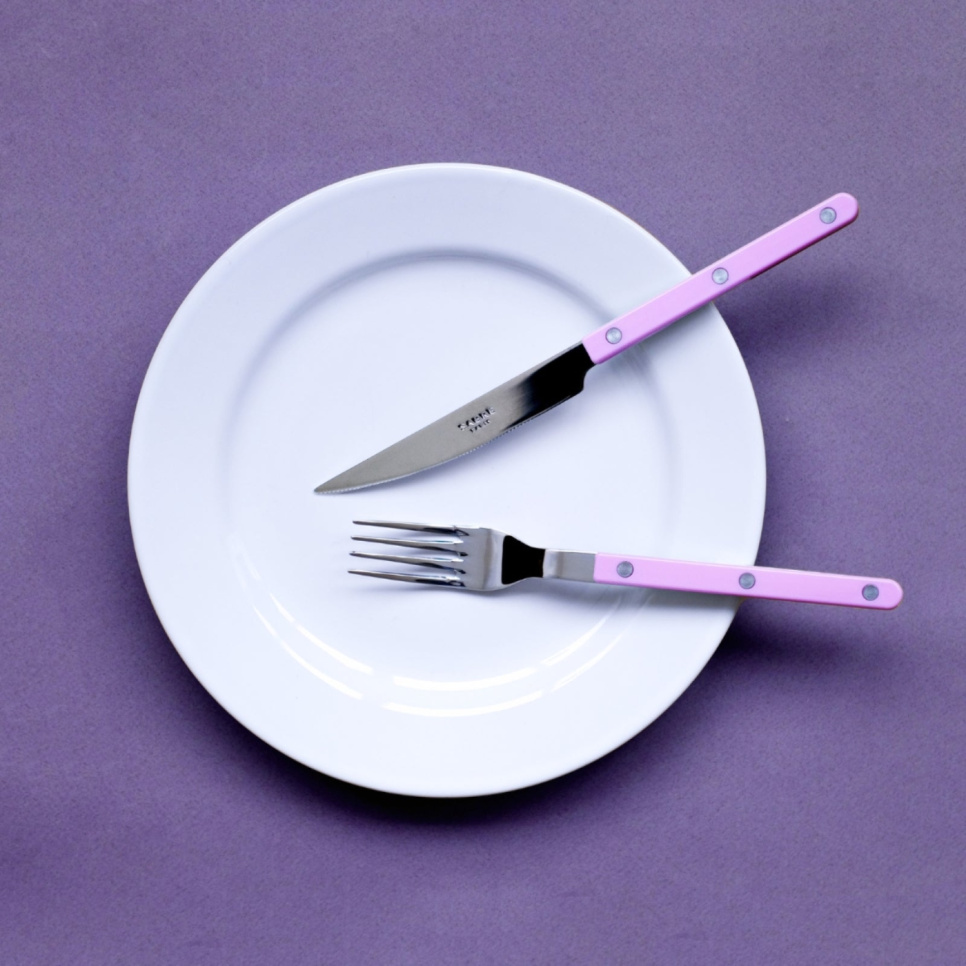 Couteau de table, Bistrot, Pink - Sabre Paris