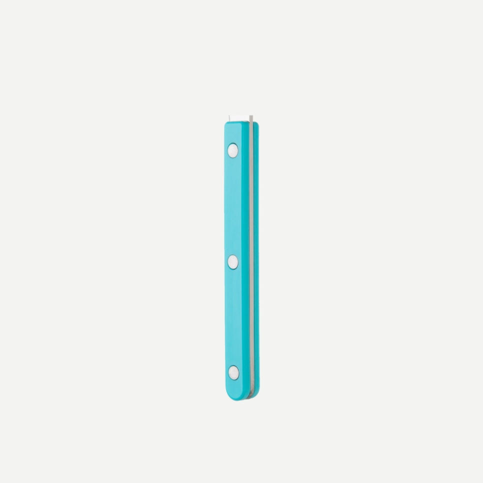 Couteau de table, Bistrot, Turquoise - Sabre Paris