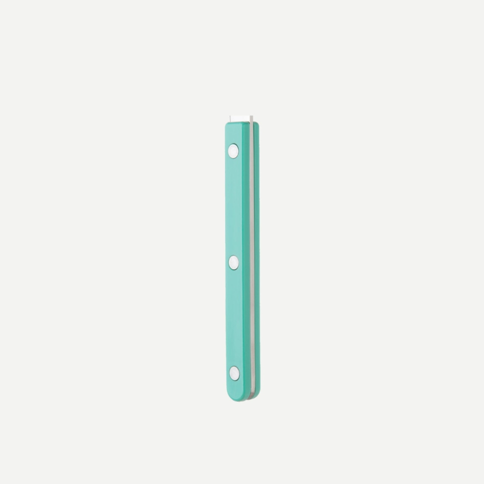 Fourchette à gâteau, Bistrot, Pastel green - Sabre Paris