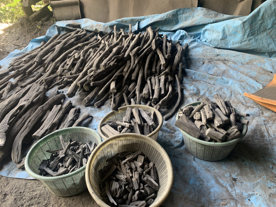 Charbon de bois, Kishu-Binchotan de chêne Ubamegashi, environ 1kg - Kisyu Sumikobo