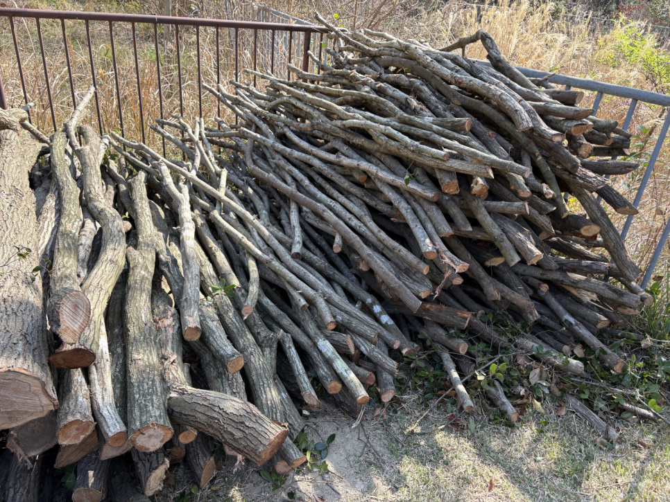 Charbon de bois, Kishu-Binchotan de chêne Ubamegashi, environ 1kg - Kisyu Sumikobo