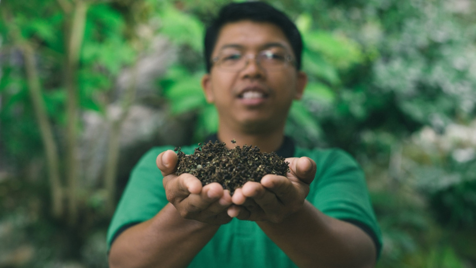 Poivre, Andaliman, Batak, 15 g - The Pepper Quest