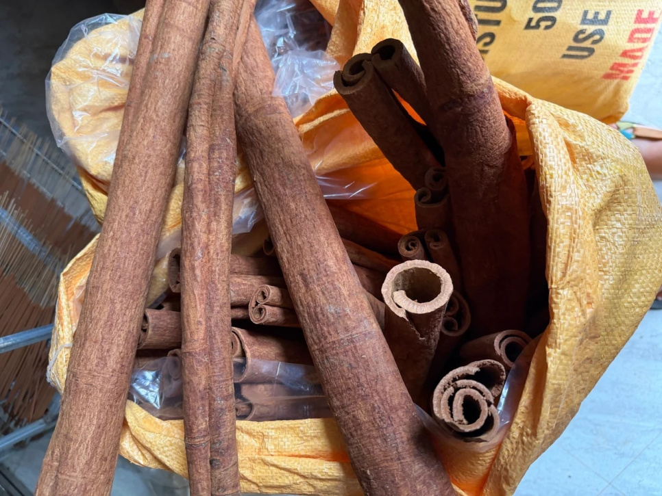 Bâtons de cannelle, Quảng Nam, 50 g - The Pepper Quest