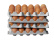 Plateau à oeufs en plastique, lot de 4 - Hendi