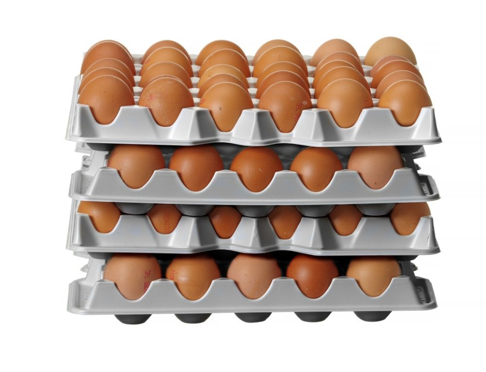Plateau à oeufs en plastique, lot de 4 - Hendi