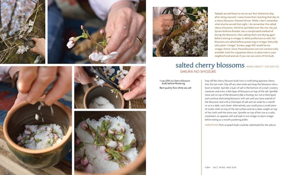 Preserving the Japanese Way - Nancy Singleton Hachisu