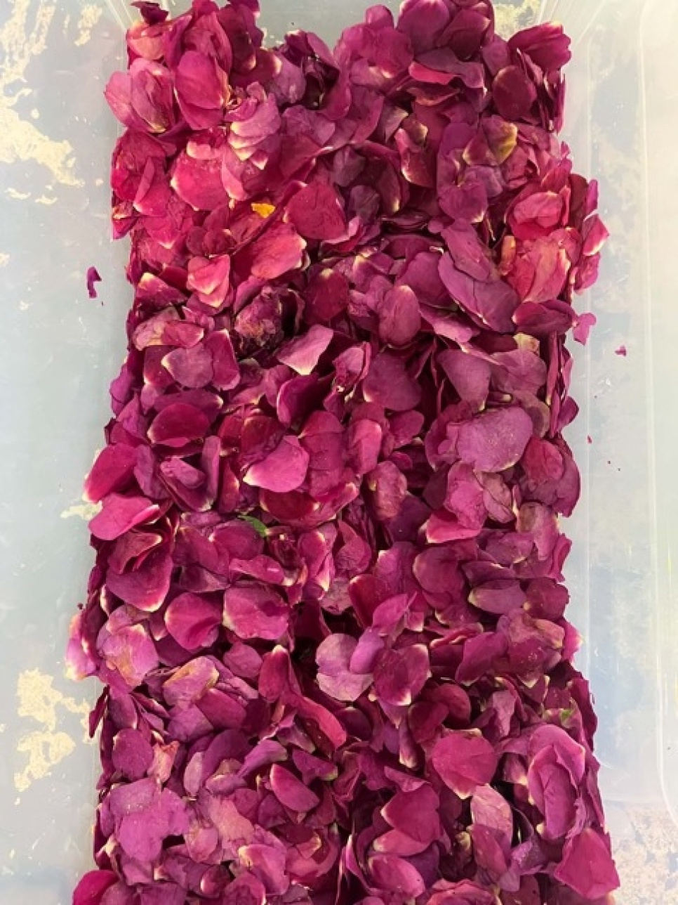 Vinaigre de rose rugosa, 145 ml - Surgubben